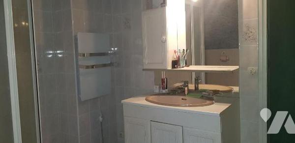 A VENDRE -  A CHATILLON SUR CHER (41) - Charmante maison familiale avec terrain boisé de 2915 m...