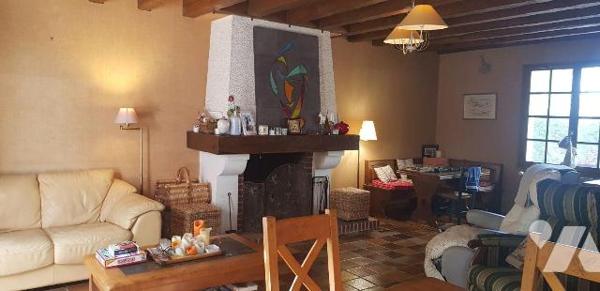 A VENDRE -  A CHATILLON SUR CHER (41) - Charmante maison familiale avec terrain boisé de 2915 m...