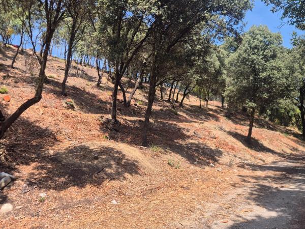 Terrains constructibles à Peyruis 618m2– Vue dégagée et multiples possibilités de construction
