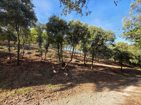 Terrains constructibles à Peyruis 618m2– Vue dégagée et multiples possibilités de construction