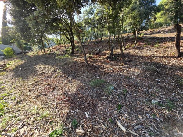 Terrains constructibles à Peyruis 618m2– Vue dégagée et multiples possibilités de construction