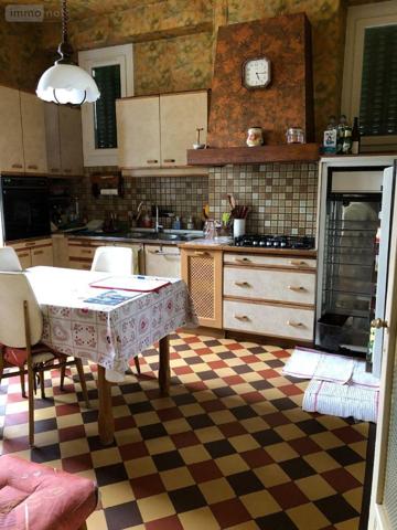 Maison à vendre à Neuvy-Pailloux dans l'Indre (36100), ref : 11813/1439