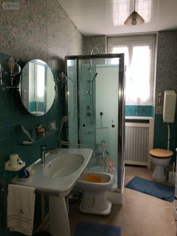 Maison à vendre à Neuvy-Pailloux dans l'Indre (36100), ref : 11813/1439