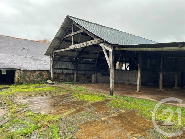 Maison à vendre  7 pièces - 420 m2 PLOEREN - 56