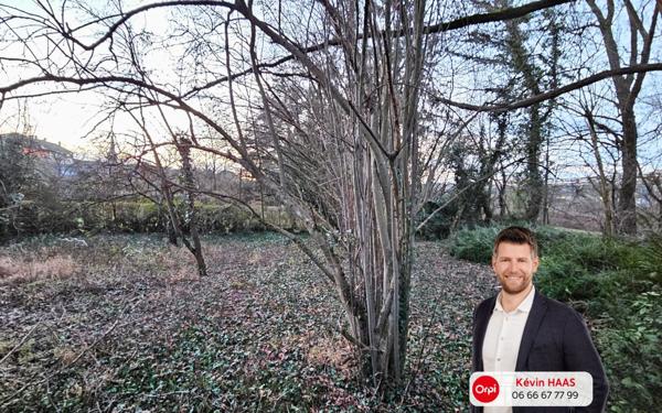 Terrain à vendre    Florange