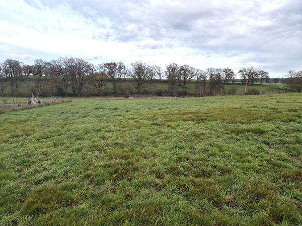 Terrain 5339 m2