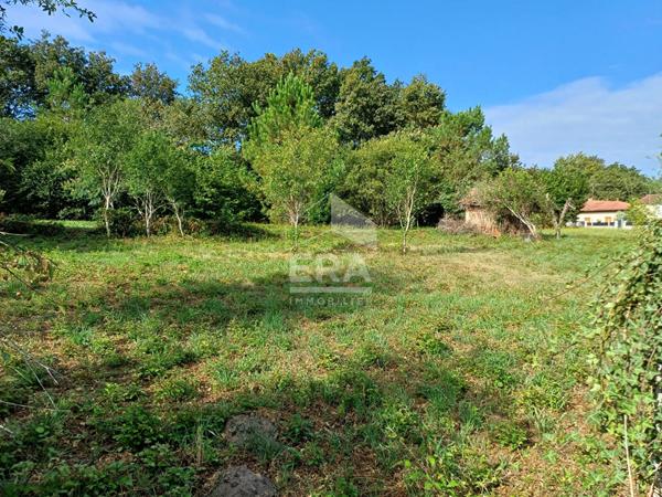 Terrain viabilisé et constructible de 1 335 m²