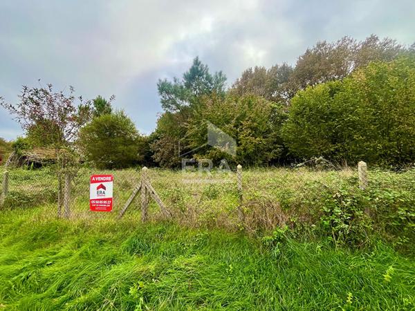 Terrain viabilisé et constructible de 1 335 m²