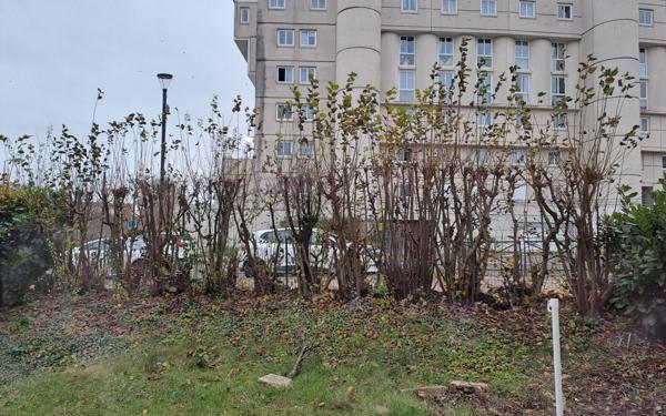 Appartement à louer    3 pièces •  Lognes