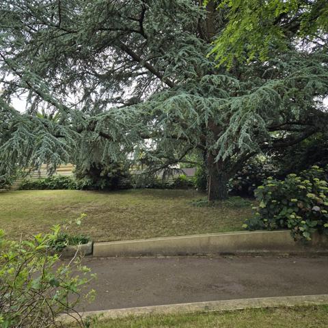 Guipavas (29490) BELLE MAISON SUR UN GRAND TERRAIN FLEURI ET ARBORER