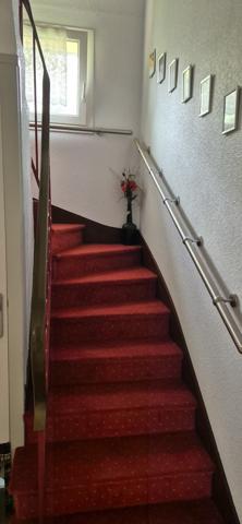 Guipavas (29490) BELLE MAISON SUR UN GRAND TERRAIN FLEURI ET ARBORER