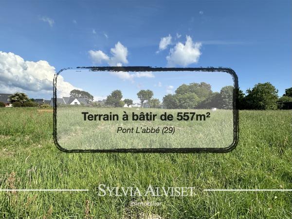 Terrain - 557 m²