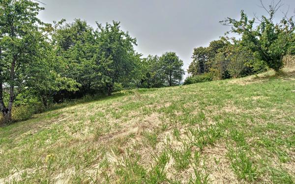 Terrain à vendre    Donzenac