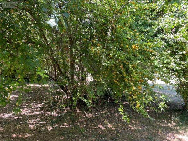 Terrain à Batir à vendre à Marans en Charente-Maritime (17230), ref : BR 463