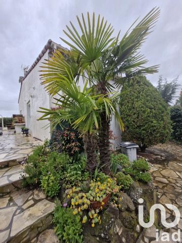 Maison à vendre 5 pièces 187 m² Marseillan