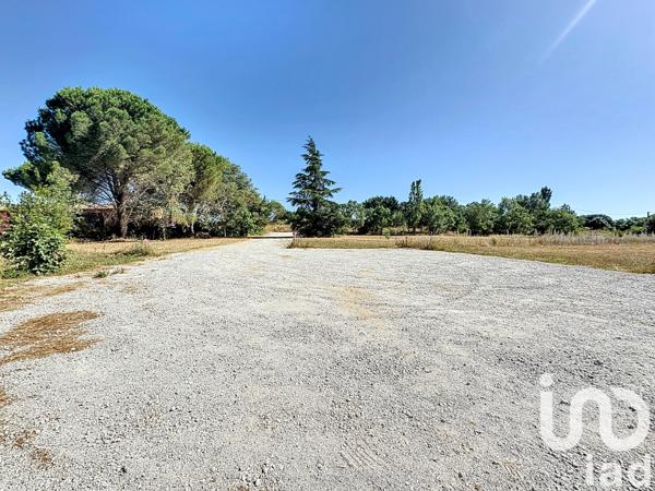 Terrain à vendre 1 423 m² Carlipa