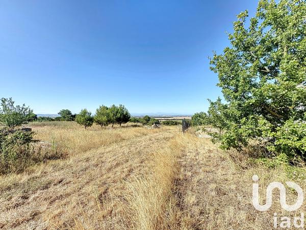 Terrain à vendre 1 423 m² Carlipa