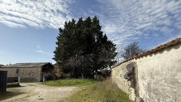 Immeuble à NERE, 17510 - 183m²