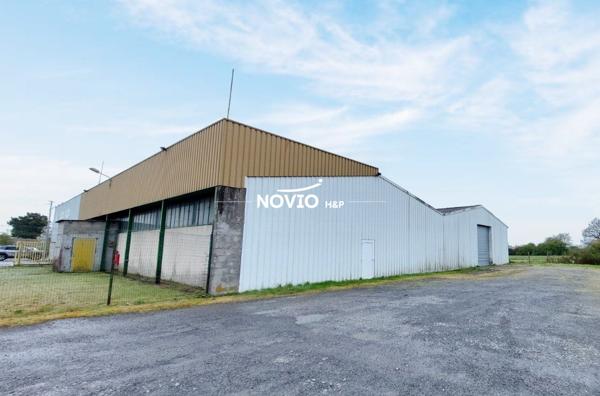 Local professionnel 1300 m²