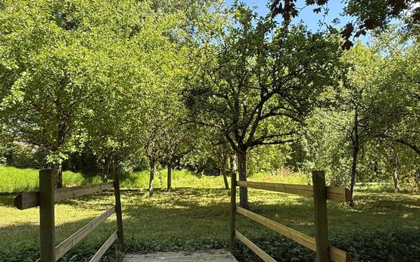 Maison à vendre    11 pièces • 416 m2 Saint-Cosme-en-Vairais