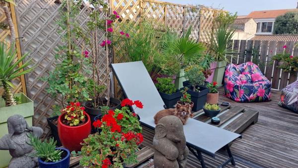 Appartement Saint Pierre d Oleron 3 pièces 51,31 m² (loi Carrez)