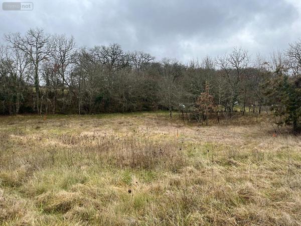 Terrain à Batir à vendre à Béduer dans le Lot (46100), ref : TER32