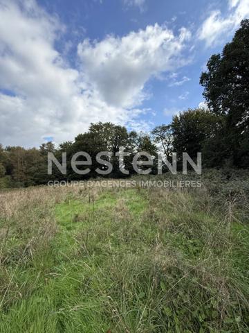 Terrain agricole à vendre à MOREAC 2,4 hectares de pâture