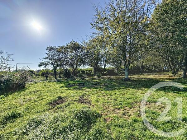 Terrain à vendre  998 m2 PLOUGASTEL DAOULAS - 29