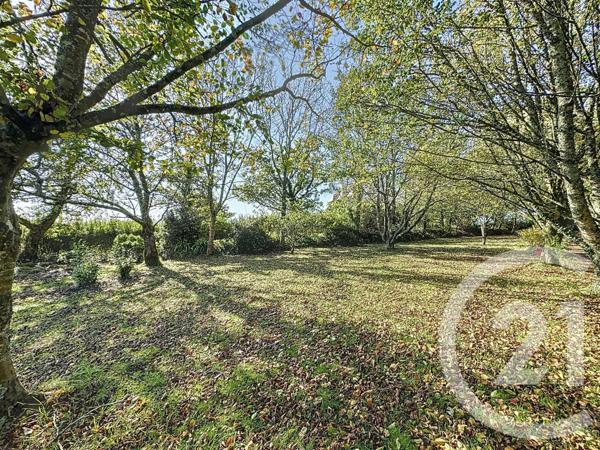 Terrain à vendre  998 m2 PLOUGASTEL DAOULAS - 29