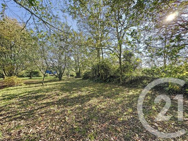 Terrain à vendre  998 m2 PLOUGASTEL DAOULAS - 29