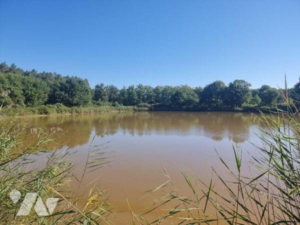 À vendre à envirion 10 mn de Romorantin (41), un territoire en pleine campagne, véritable havre...