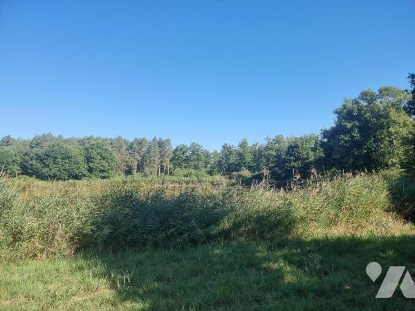 À vendre à envirion 10 mn de Romorantin (41), un territoire en pleine campagne, véritable havre...