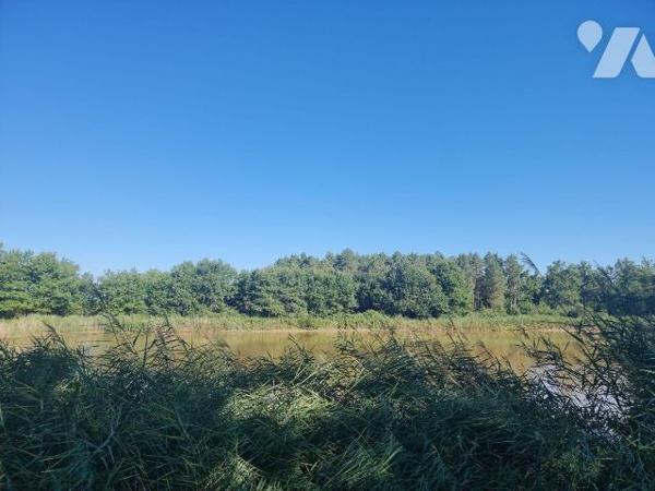 À vendre à envirion 10 mn de Romorantin (41), un territoire en pleine campagne, véritable havre...