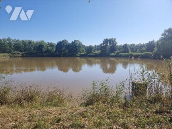 À vendre à envirion 10 mn de Romorantin (41), un territoire en pleine campagne, véritable havre...