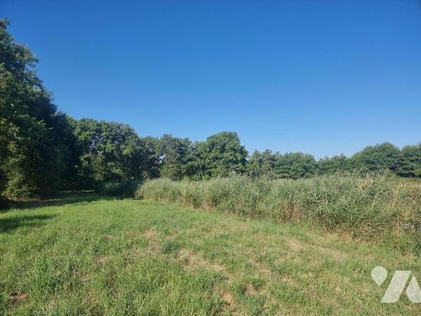 À vendre à envirion 10 mn de Romorantin (41), un territoire en pleine campagne, véritable havre...