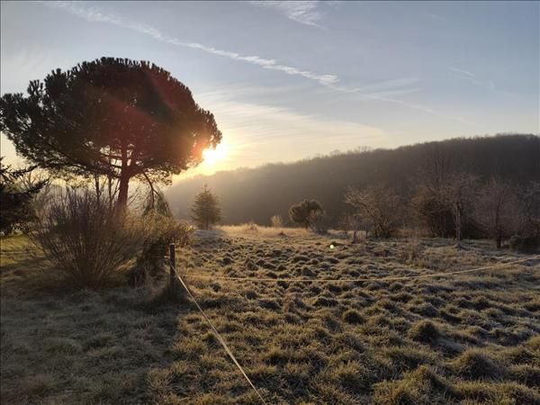 Grange à vendre |  Lévignac-de-Guyenne |  1 pièce