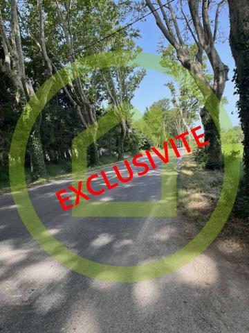 Maison à RAPHELE LES ARLES (13280)