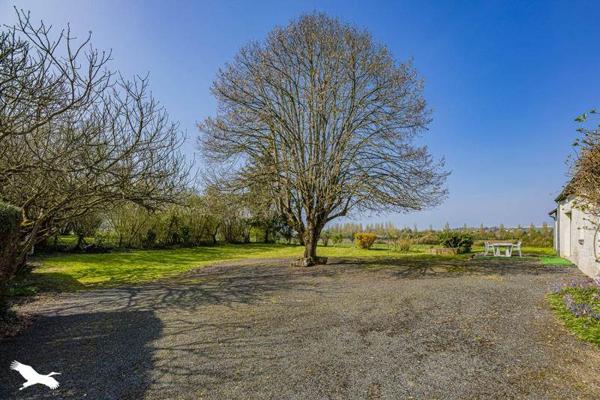 Maison à vendre |  Ligueil |  5 pièces | 169 m²