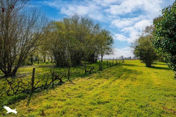 Maison à vendre |  Ligueil |  5 pièces | 169 m²