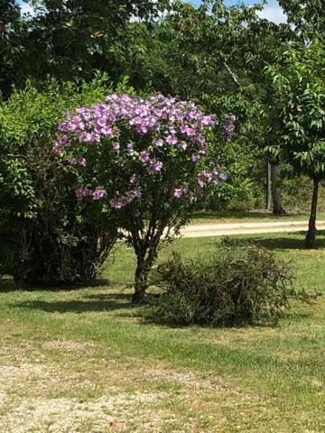 Maison Thenon 6 pièce(s) 140.31 m2