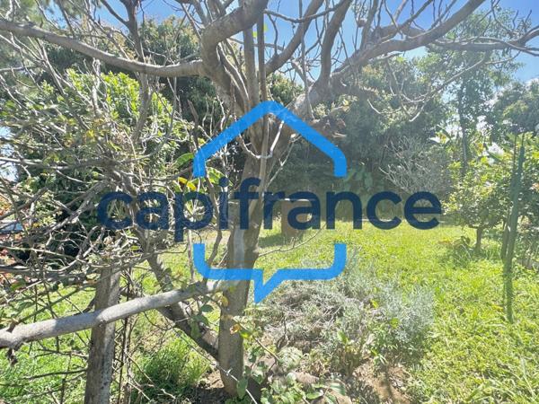 🌴 À VENDRE – TERRAIN CONSTRUCTIBLE 447 m² + SERVITUDE – LIGNE DES BAMBOUS, SAINT-PIERRE (97410) 🌴