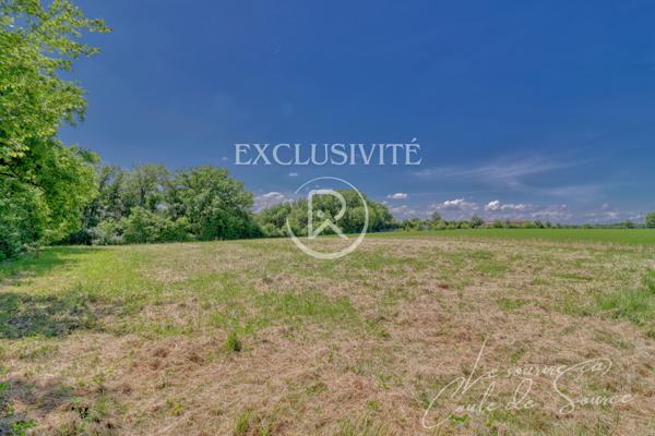 Terrain - 3000 m² Exclusivité efficity