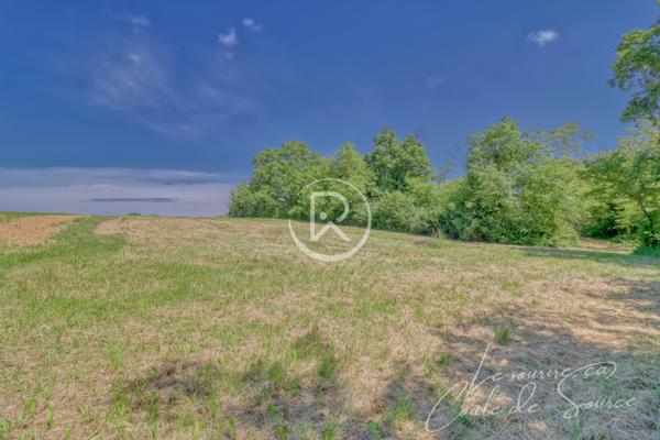 Terrain - 3000 m² Exclusivité efficity