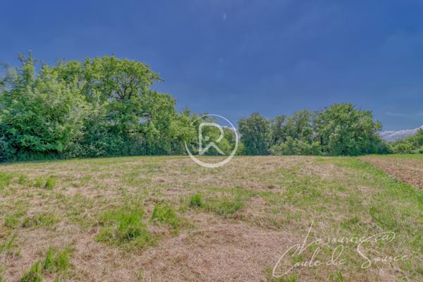 Terrain - 3000 m² Exclusivité efficity