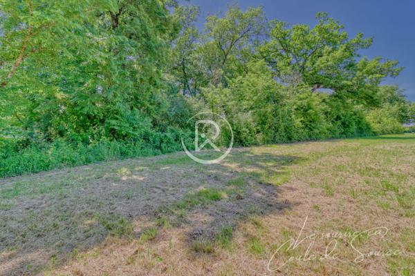 Terrain - 3000 m² Exclusivité efficity