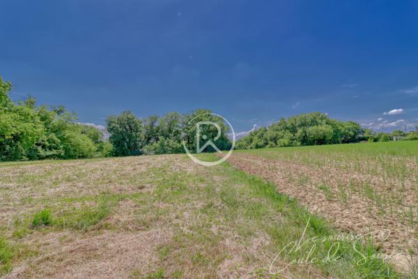 Terrain - 3000 m² Exclusivité efficity