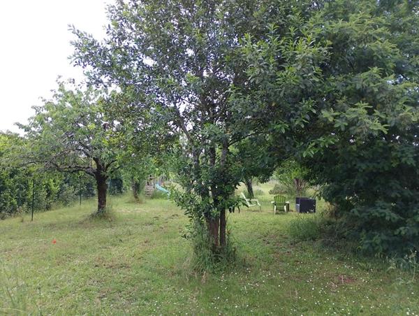 Maison Saint Yrieix Sur Charente 170m2 terrain 3800m²