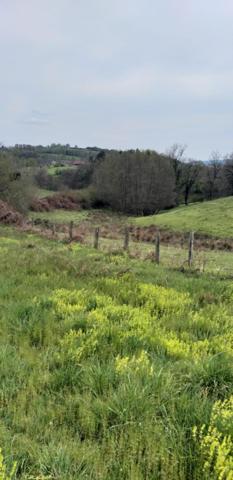 Terrain à vendre en Montagne Bourbonnaise