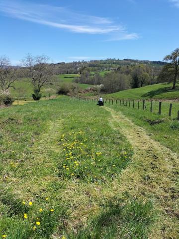 Terrain à vendre en Montagne Bourbonnaise