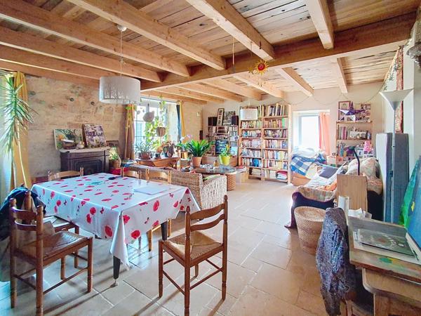 Belle maison en pierre, salon lumineux et jardin arboré